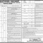 Services Hospital Lahore Jobs 2019 for 137+ Teaching Faculty, Medical Officers, Consultants & Professionals