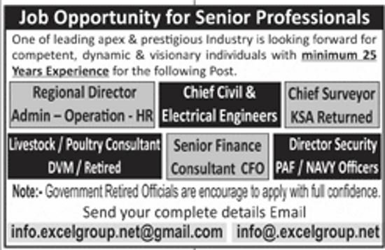 Excel Group Pakistan Jobs 2019 for Various Professionals (Multiple Departments)
