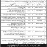 Wildlife Department KP Jobs 2019 for 35+ Posts (Multiple Categories)