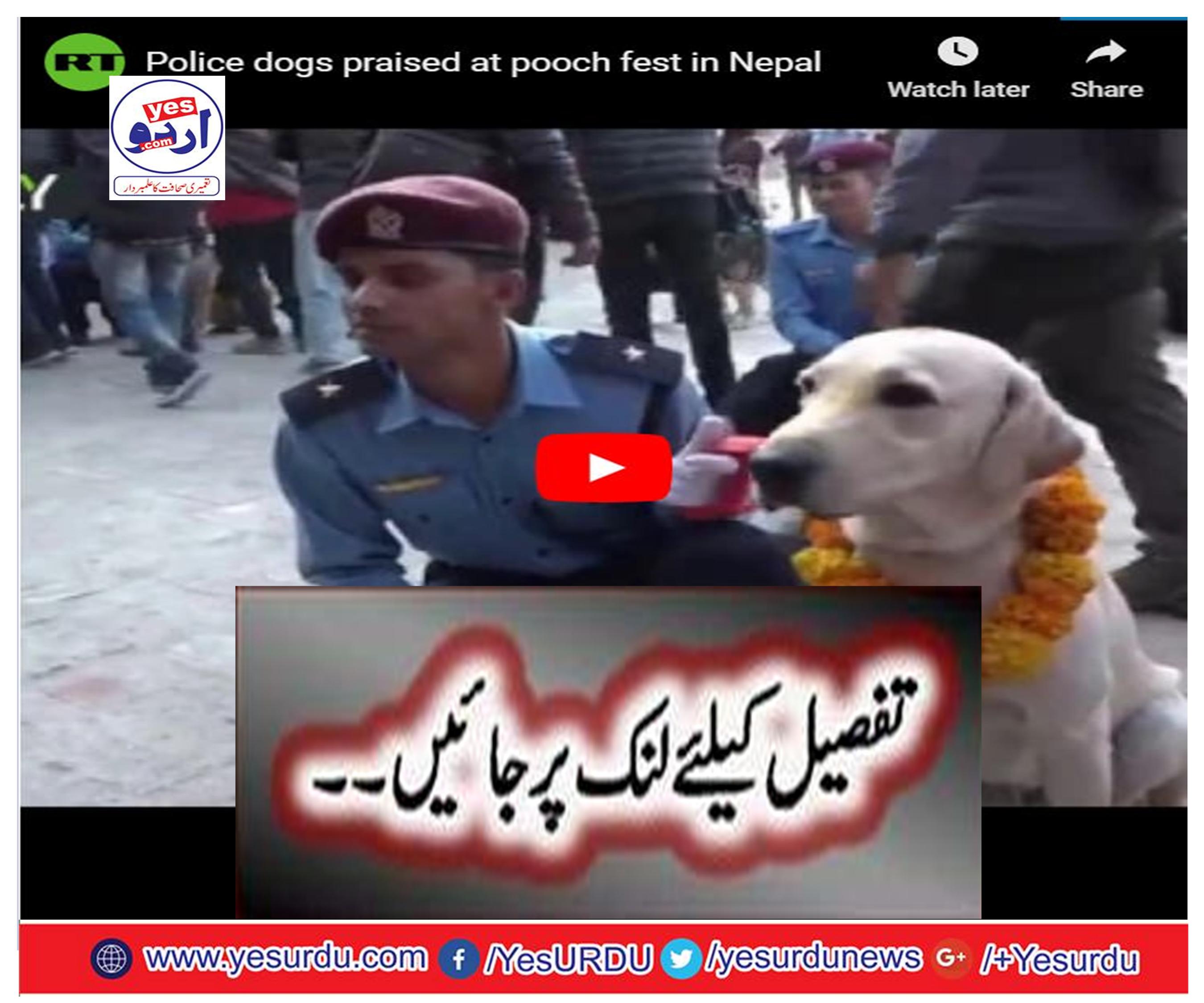 Pooch fest in Nepal - Police dogs praised at pooch fest in Nepal