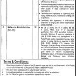 University of Punjab Jobs 2019 for IT, Engineering and Resident Officer