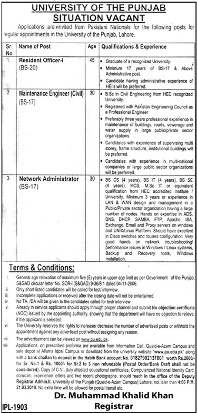 University of Punjab Jobs 2019 for IT, Engineering and Resident Officer