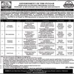 Primary & Secondary Healthcare Department Punjab Jobs 2019 for Bio-Statistician, Research, Investigator, Field & Nursing Staff