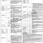 Services Hospital Lahore Jobs 2019 for 137+ Teaching Faculty, Registrars, Demonstrators, Medical Officers & Other Posts
