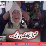 Irene O'Shea became the oldest female skydiver after jumping out of a plane i...