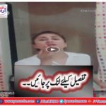 Tik Tok Duplicate Superstar - Tik Tok Duplicate Actor