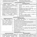 Medical Teaching Institution DI Khan Jobs 2019 for Directors / Management Posts