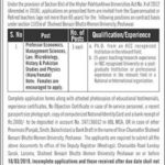 Shaheed Benazir Bhutto Women University (SBBWU) Peshawar Jobs 2019 for Teaching Faculty