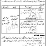 NEPRA Jobs 2019 for 5+ Naib Qasid and Security Guard Posts (Walk-in Interviews)