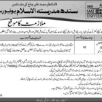 SMI University Jobs 2019 for Controller of Examination