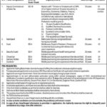 Balochistan Revenue Authority Jobs 2019 for 23+ Dy Commissioner Sales Tax, Naib Qasid & Other Support Staff