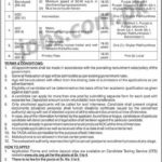 Ministry of Overseas Pakistanis & HR Development Jobs 2019 for 30+ Stenotypists, Assistants, LDC/UDC Clerks and Other Posts