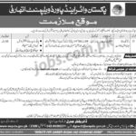 WAPDA Jobs 2019 for Monitoring & Evaluation Specialists / M&E (Diamer / Basha Dam) (Download PTS Form)