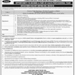 Pakistan Civil Aviation Authority (PCAA) Jobs 2019 for Director Flight Standards