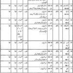 Forest Department Punjab Jobs 2019 for 41+ Wireless CCTV Camera Operators, Drivers, Security Guards & Other Support Staff