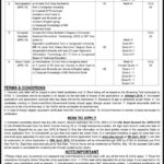 Forest Department KP Jobs 2019 for 20+ Assistants, Stenographer, Computer Operators and Stenotypists