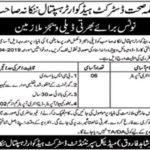 District Headquarter Hospital Nankana Sahib Jobs 2019 for 6+ Data Entry Operators