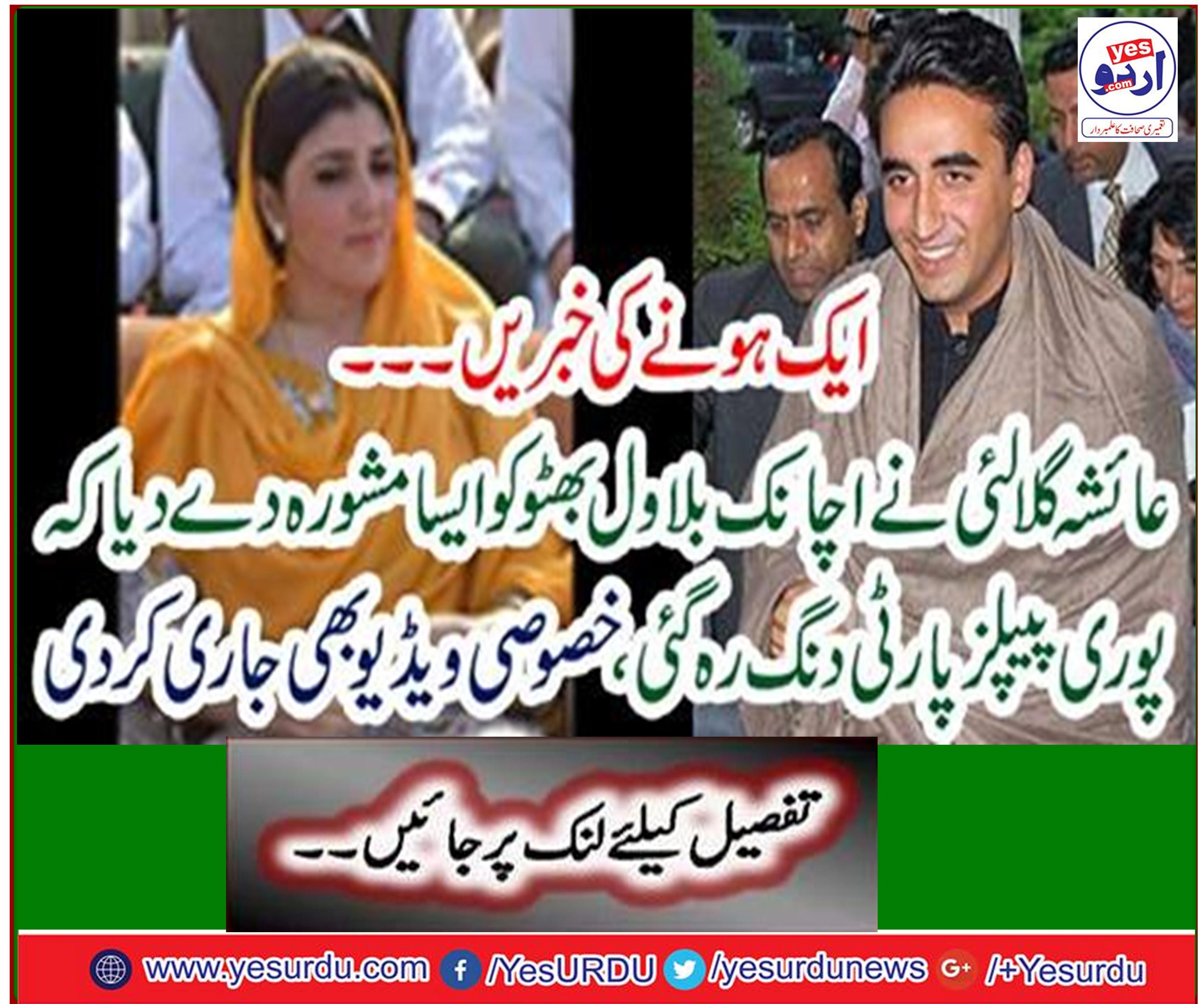 Ayesha Gulalai suddenly shouted the entire PPP along with Bilawal Bhutto