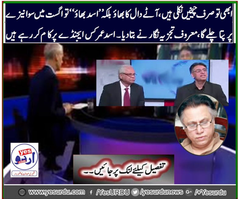 economy, will, tease, after, august, said, hassan nisar, in, his, latest column