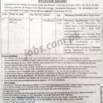 Khyber Girls Medical College Jobs 2019 for HR Manager (Download NTS Form)