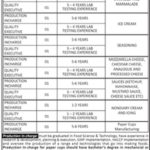 VENUS Pakistan Food Manufacturing Jobs 2019 for 13+ Posts for Food / Production Office