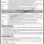 Pakistan Civil Aviation Authority (PCAA) Jobs 7/2019 for AD Aviation Security and Vigilance Posts