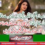 Priyanka Chopra harassment story