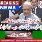 NAB summoned former president Asif Ali Zardari's legal advisor yesterday