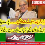 Punjab Bureaucratic organization, Shahbaz Sharif's main team returns
