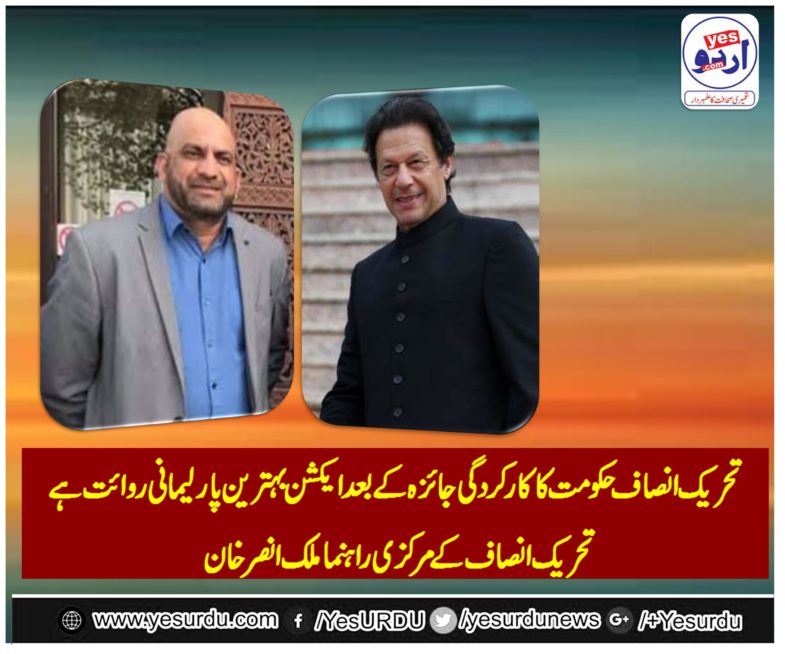 malik muhammad ansar, khan, senior, leader, PTI, France, declared, resignation, of, ministers, as, a, great, parliamentary, tradition, never, exists, before