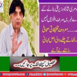 Chaudhry Nisar has 20 MPAs, but can not give final opinion on palace conspiracy, Haroon Rashid
