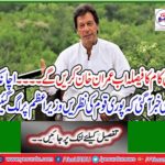The final decision to increase the prices of petroleum products is on Prime Minister Imran Khan