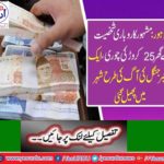 Huge stolen was occurrence in the house of businessman Sheikh Yousuf's
