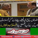 What relation Justice Shahzad Malik's with (N) League?