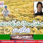 The great announcement for the farmers affected by rain, the great news of the good news