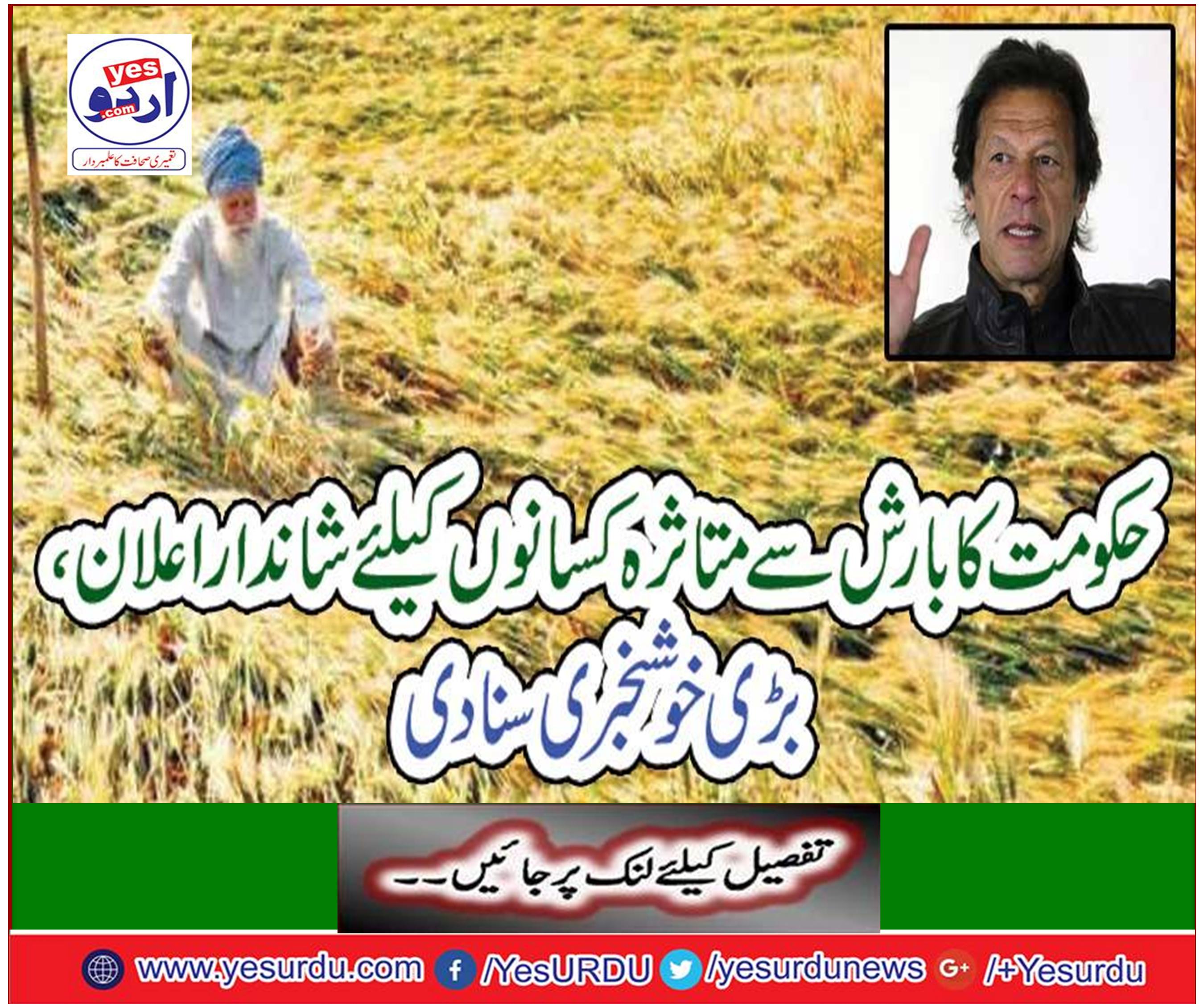 The great announcement for the farmers affected by rain, the great news of the good news