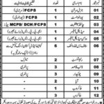 Anjuman Hilal Ahmar Organization Jobs 2019 for 25+ Receptionists, Medical & Paramedic Staff