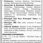 Indus Medical College & Hospital TMK Jobs 2019 for HR, Audit and Teaching Faculty
