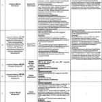 University of Sarbodha Jobs 2/2019 for 28+ Lab Engineer & Teaching Faculty