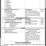 MTI Bacha Khan Medical College Mardan Jobs 2019 for Legal, Medical & Teaching Staff