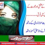 Tutorial with Hazrat Maulana Romi