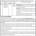 KP Southern Area Development Project Jobs 2019 for Project Director / Consultant