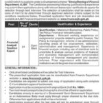 Finance Department AJK Jobs 2019 for Financial Analyst / Taxation Expert