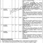 DHQ Teaching Hospital Sargodha Jobs 2019 for 11+ Medical Consultants