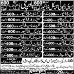 500+ Drivers (Dumper/Truck/HTV/Crane etc) Required in Romania / Europe