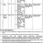 Population Welfare Department Punjab Jobs 2019 for Assistant / Computer Operator, Data Analyst and Project Coordinator Posts