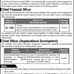 SNGPL Jobs 2019 for CFO, CO / Management Posts
