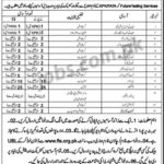 FTS Jobs 2019 for 1000+ Invigilators, Coordinators, Supervisors, Marketing, Teaching, Office & Support Staff
