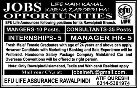 Efu Life Jobs 2019 for 55+ Managers, HR Manager, Internships and Consultants