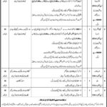 Center Of Excellence Govt School (Girls/Boys) DG Khan Jobs 2019 for Teaching & Non-Teaching Staff (Disable Quota)